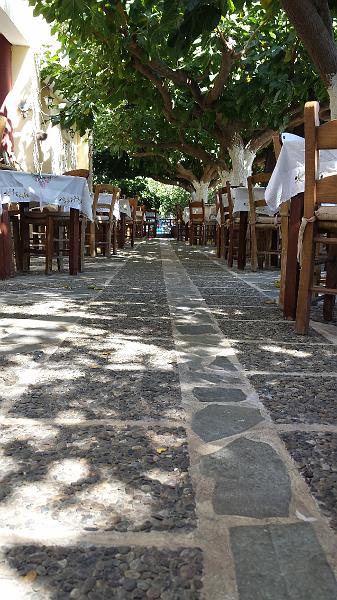 20130830_112232.jpg - Dappled shade in the morning sun.