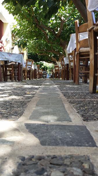 20130830_112250.jpg - Shade under the Mulberry trees